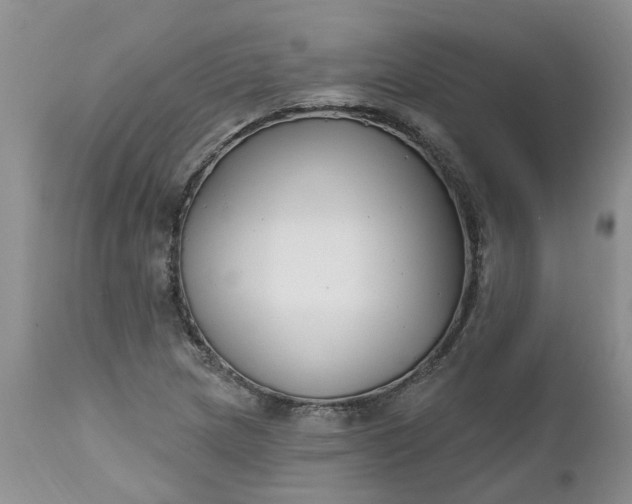 X0000112541217200908311438