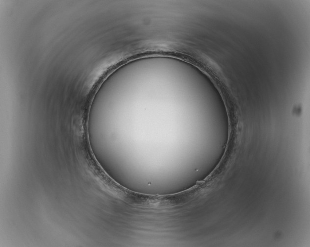 X0000112541218200908311438