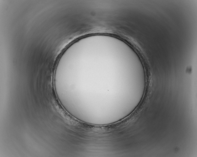 X0000112541220200908311438