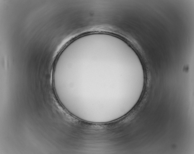 X0000112541224200908311438