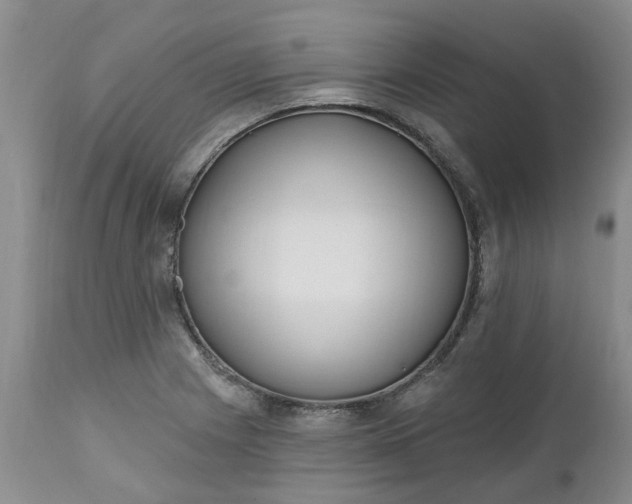 X0000112541225200908311438