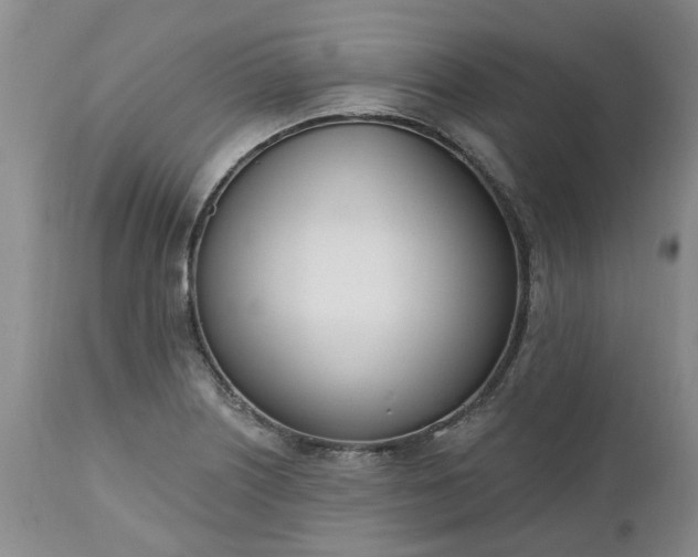 X0000112541226200908311438