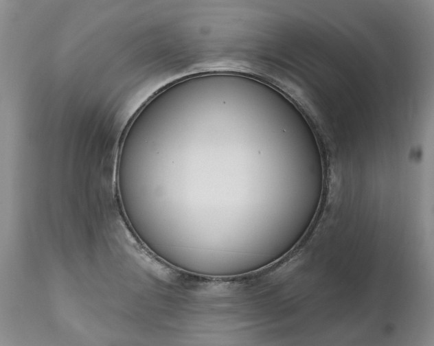 X0000112541228200908311438