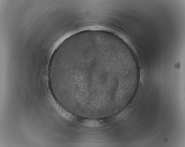 X0000112541229200908311438