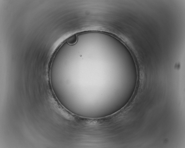 X0000112541230200908311439