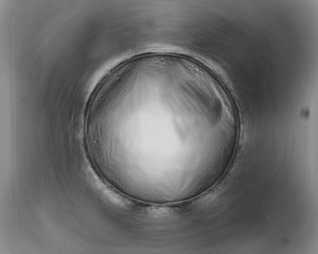 X0000112541231200908311439