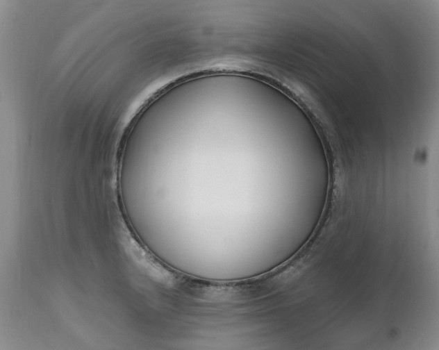X0000112541232200908311439