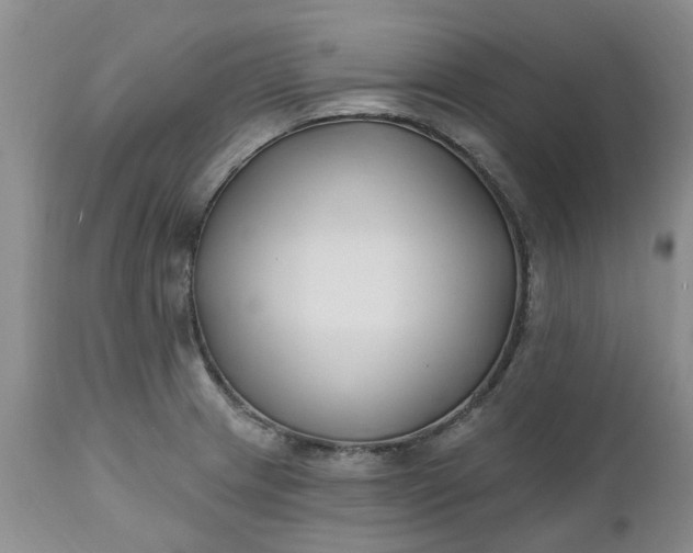 X0000112541233200908311439