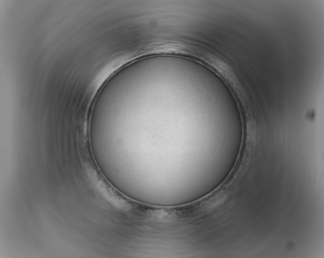 X0000112541234200908311439