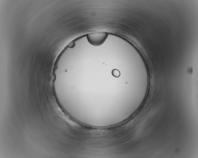 X0000112541236200908311439