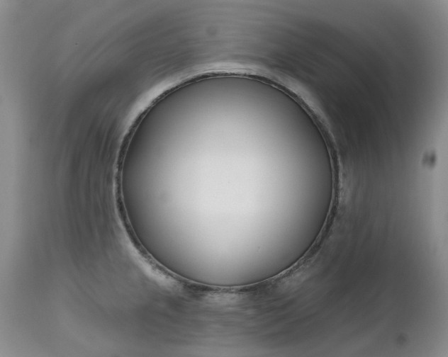 X0000112541237200908311439