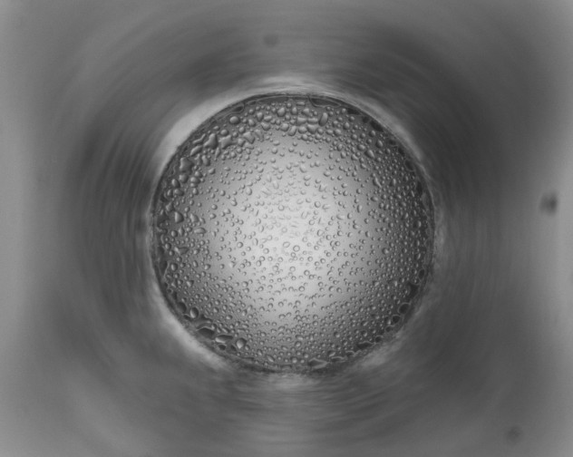 X0000112541239200908311439