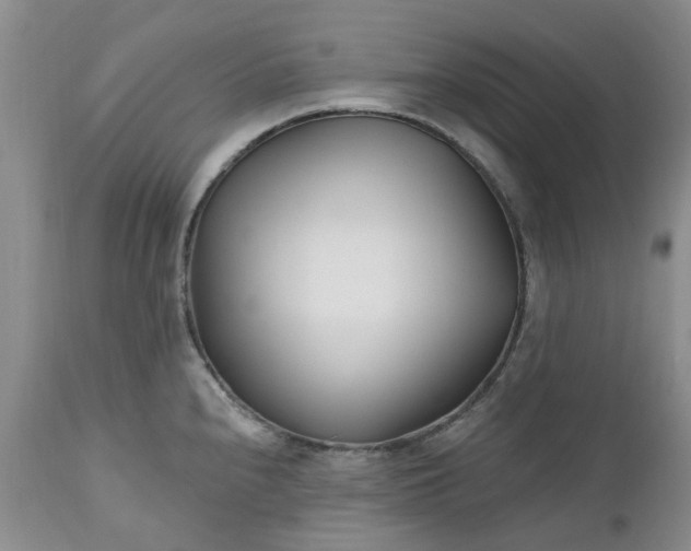 X0000112541240200908311439