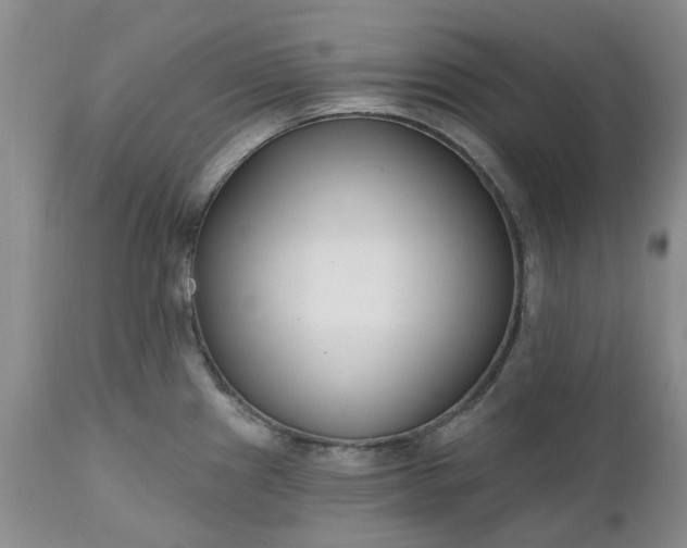 X0000112541241200908311439
