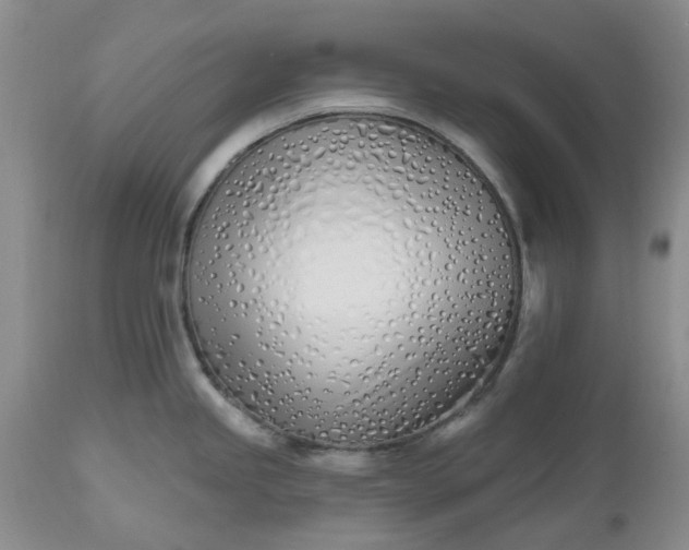 X0000112541245200908311439