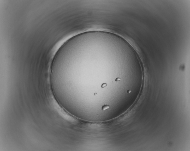 X0000112541246200908311439