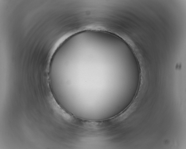 X0000112541248200908311439