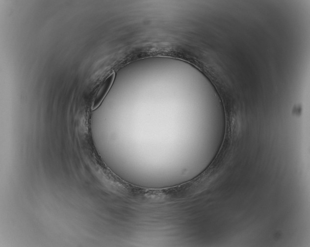X0000112541250200908311438
