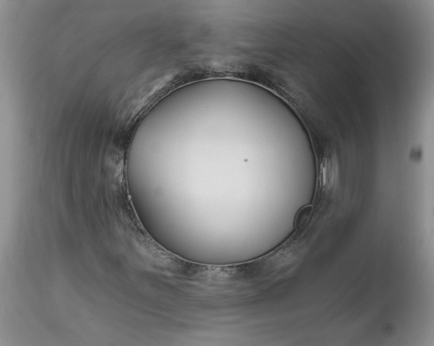 X0000112541251200908311438