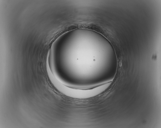 X0000112541252200908311438