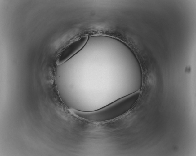 X0000112541253200908311438