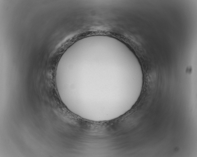 X0000112541254200908311438
