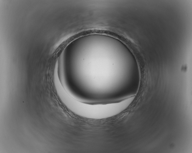 X0000112541255200908311438