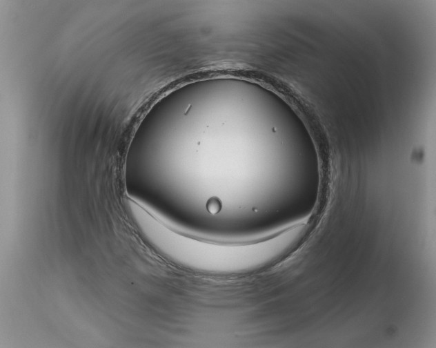 X0000112541257200908311438