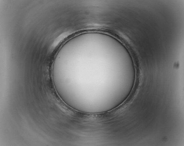 X0000112541259200908311438