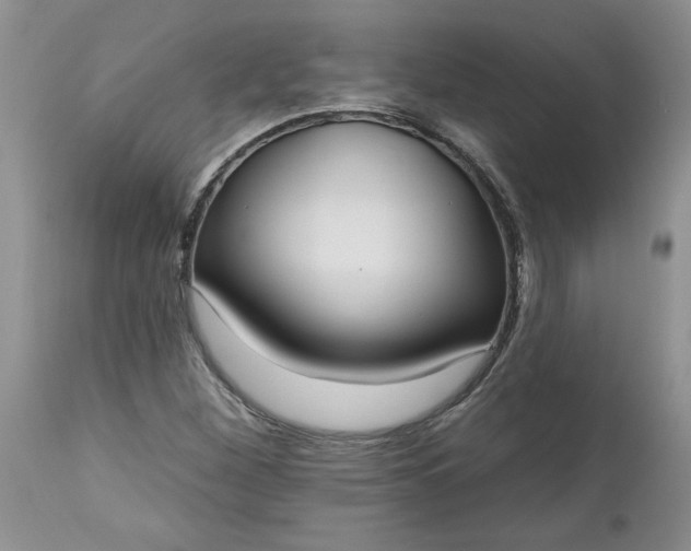X0000112541260200908311438