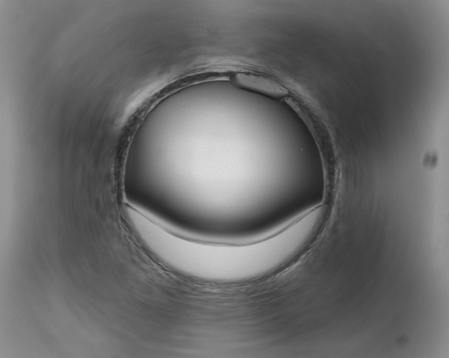 X0000112541261200908311438