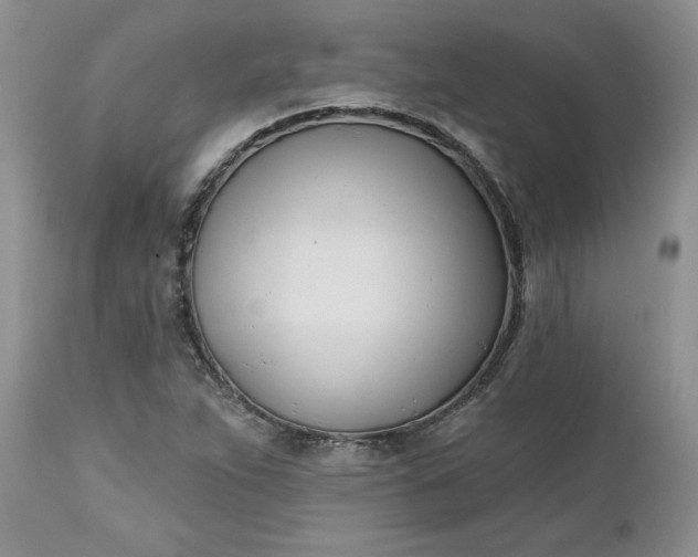 X0000112541263200908311438