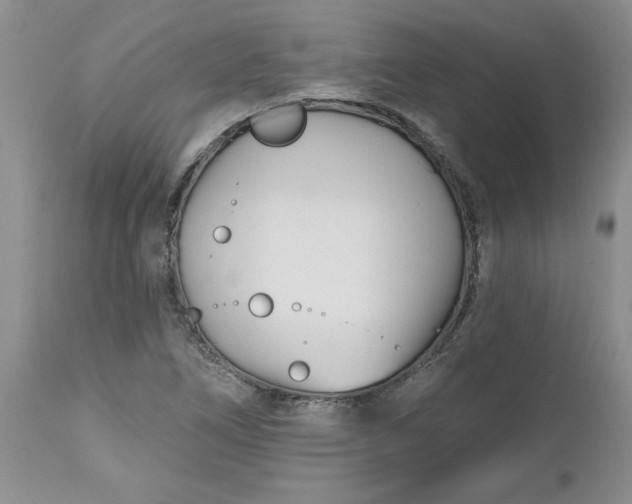 X0000112541266200908311438