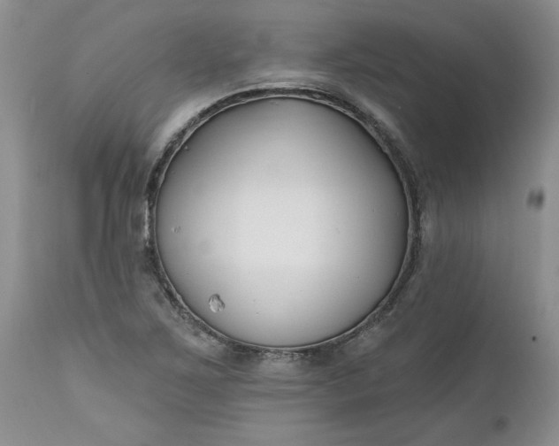 X0000112541267200908311438
