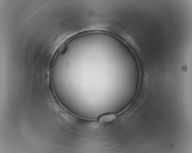 X0000112541268200908311438