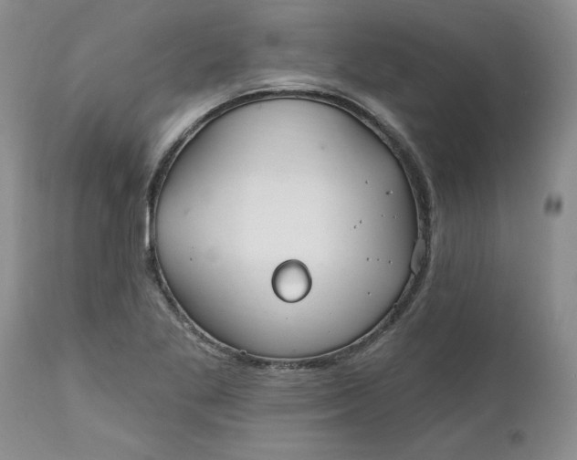 X0000112541269200908311438