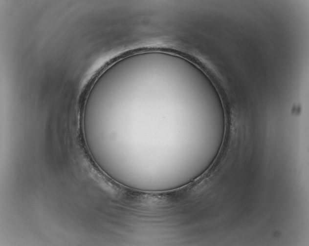 X0000112541270200908311438