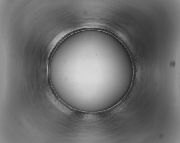 X0000112541275200908311438