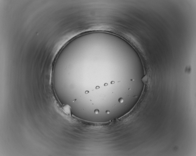 X0000112541276200908311438