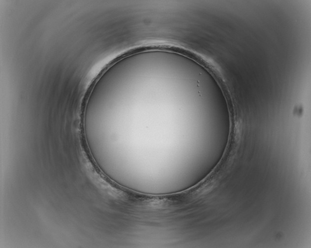 X0000112541279200908311438