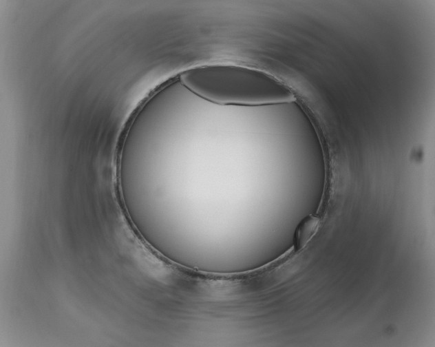 X0000112541280200908311437