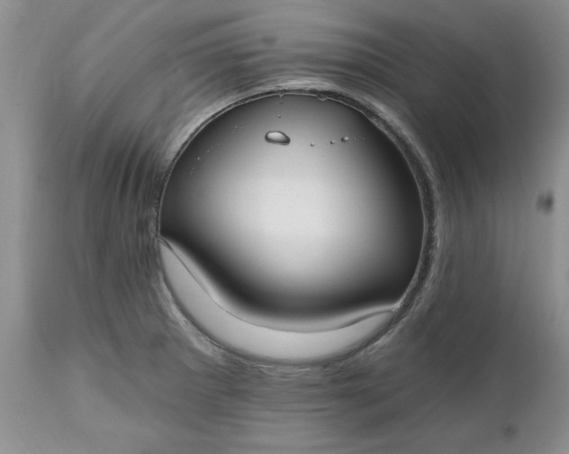 X0000112541281200908311437