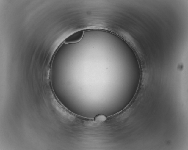 X0000112541284200908311437