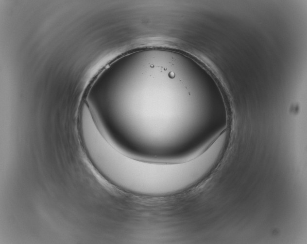 X0000112541285200908311437