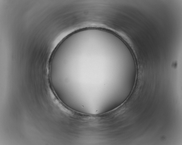 X0000112541287200908311437