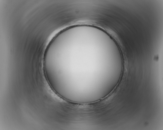 X0000112541288200908311437
