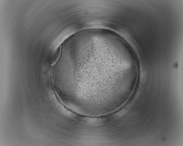 X0000112541289200908311437