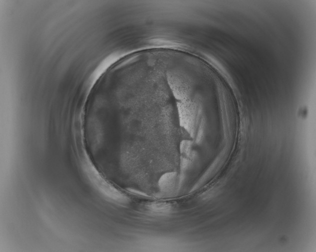 X0000112541291200908311437