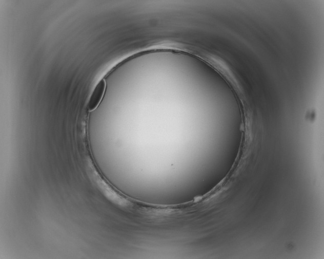 X0000112541292200908311437