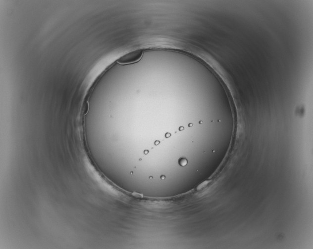 X0000112541293200908311437